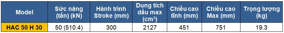 kich 2 chieu bang nhom 50 tan 300 mm, kich 2 chieu, kich nhom