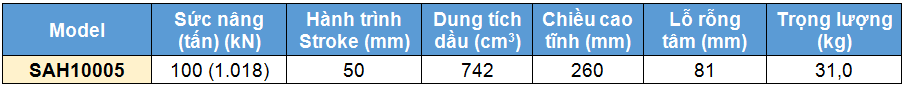 Kích rỗng tâm bằng nhôm 100 tấn 50 mm, kich 1 chieu bang nhom 100 tan 50 mm,SAH Single acting aluminium cylinder, hollow piston